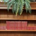 Vintage Pine Shelving