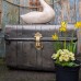 Tin Trunk storage