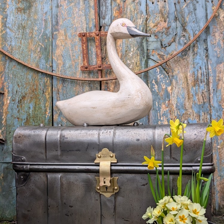 Tin Trunk storage