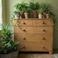 Large Antique Pine Storage
