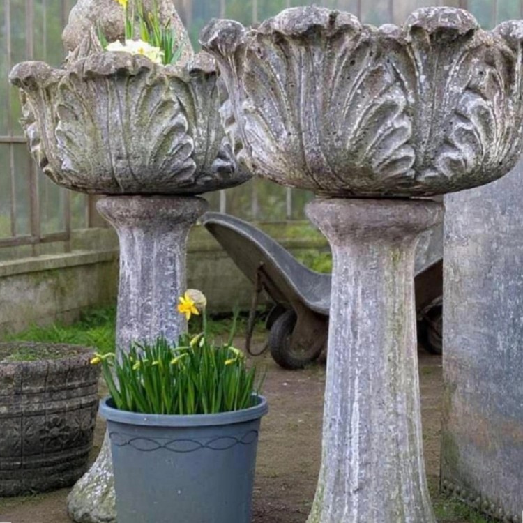 Pair Garden Planters